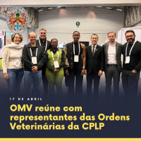 OMV reúne com alguns representantes das Ordens Veterinárias da CPLP