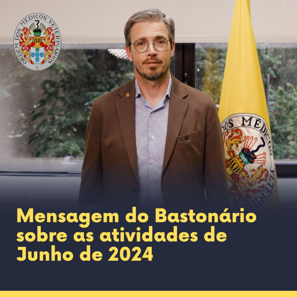 Mensagem do Bastonário - Atividades do mês de junho de 2024