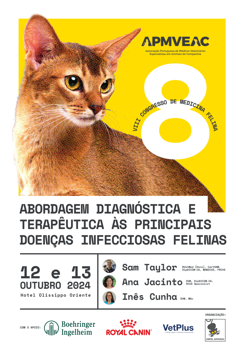 VIII Congresso de Medicina Felina