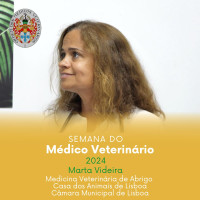 Semana do Médico Veterinário 2024 - 'Medicina Veterinária de Abrigos na Casa dos Animais de Lisboa-Câmara Municipal de Lisboa' | Assista ao vídeo