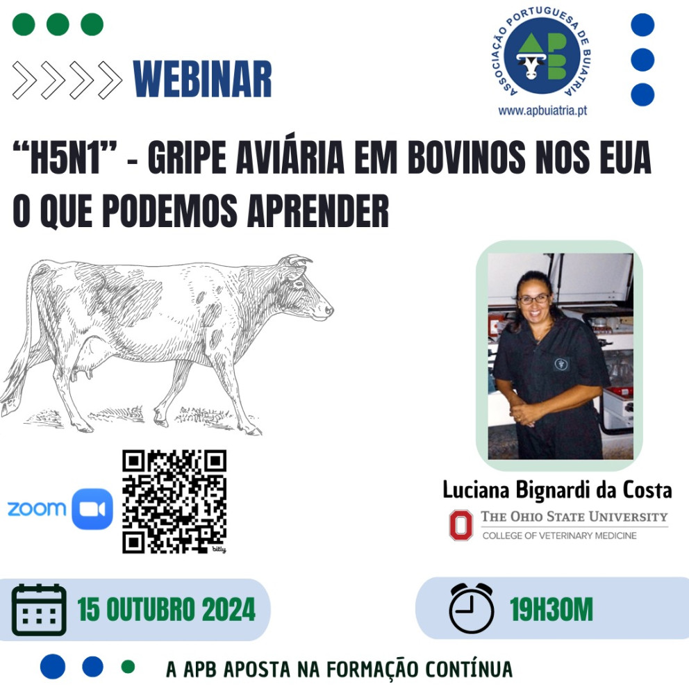 Webinar 