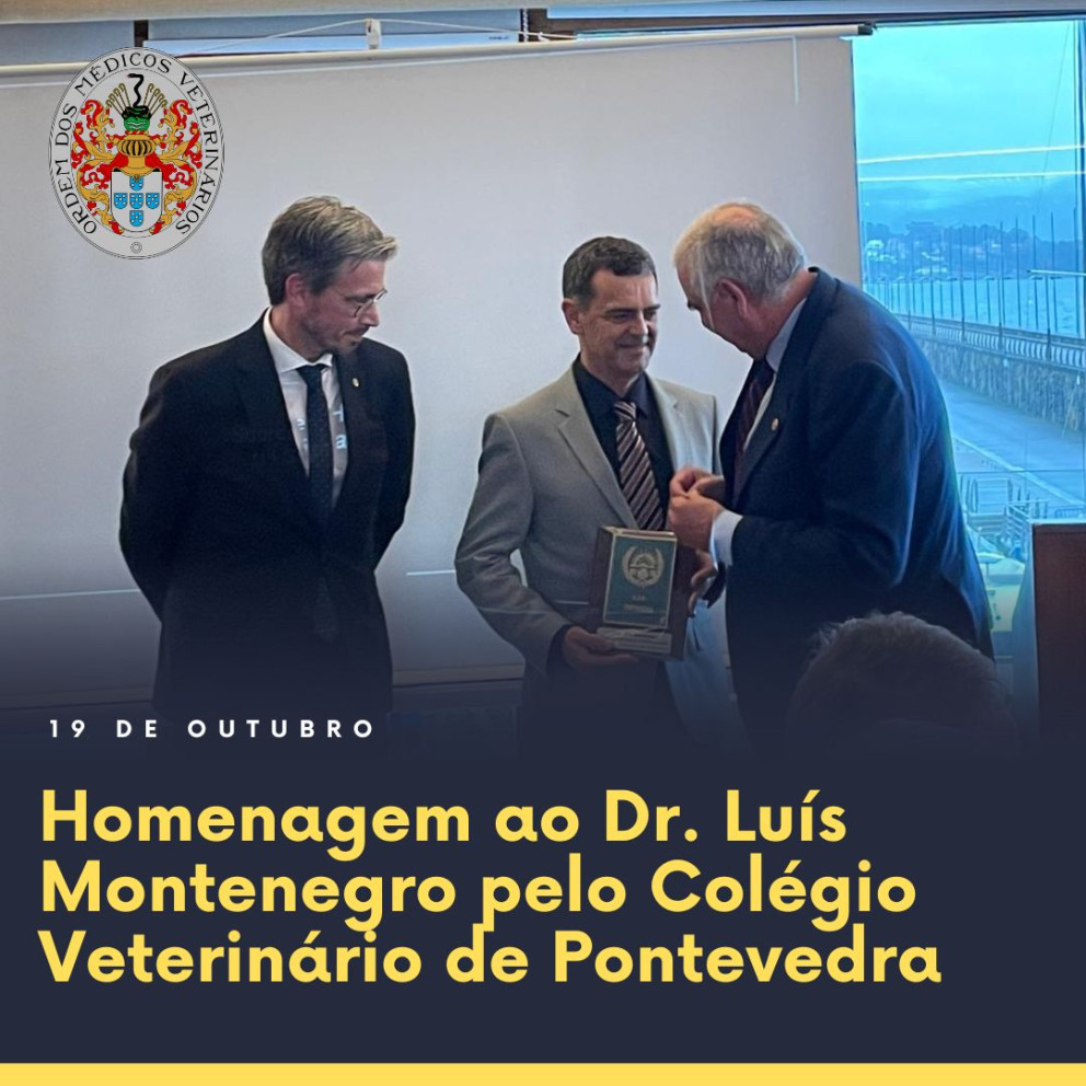 Homenagem ao Dr. Luís Montenegro pelo Colégio Veterinário de Pontevedra