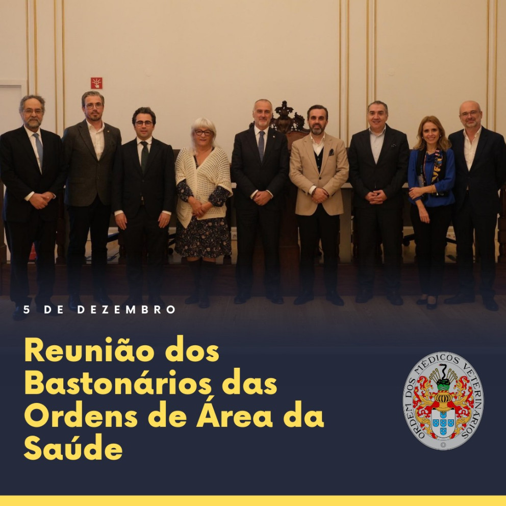 Reunião dos Bastonários das Ordens da Área da Saúde