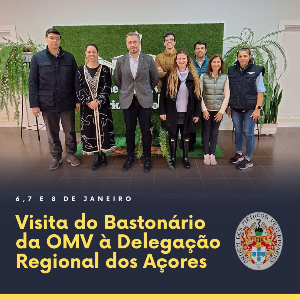 Visita do Bastonário da OMV à Delegação Regional dos Açores