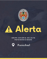 Informação DGAV: Deteção de foco de infeção por vírus da gripe aviária de alta patogenicidade - Ave selvagem - Funchal, Região Autónoma da Madeira - Foco 2025/28