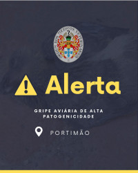Informação DGAV: Deteção de foco de infeção por vírus da gripe aviária de alta patogenicidade - Ave selvagem - Portimão, Faro - Foco 2025/29